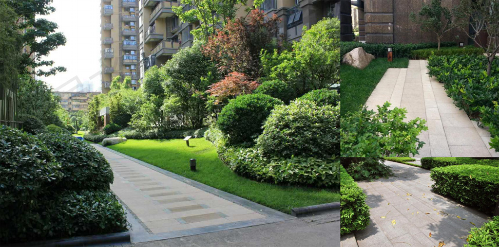 中建观湖国际5.jpg